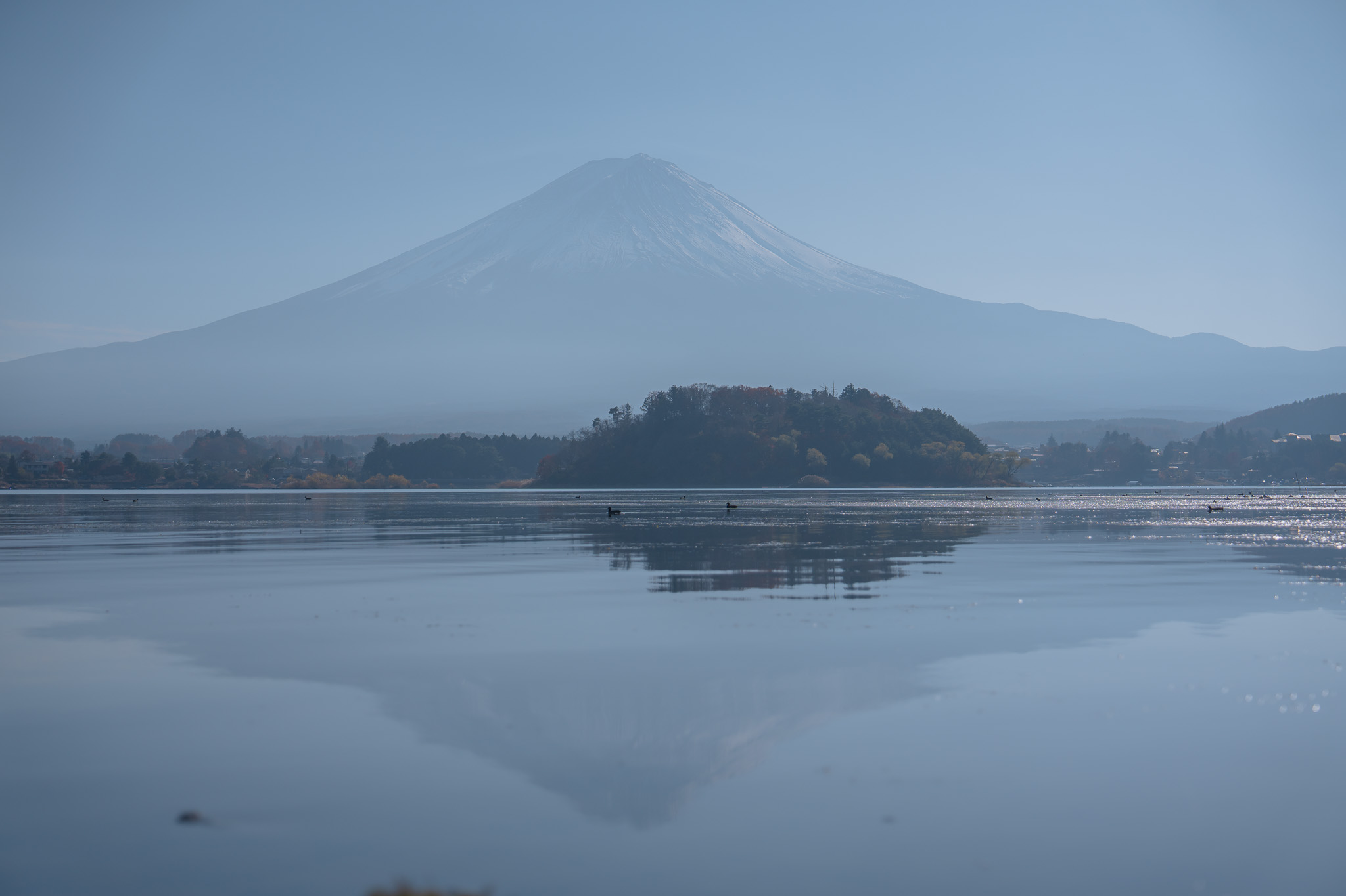 [遊記] 河口湖自然生活館。富士山湖景與伴手滿喫