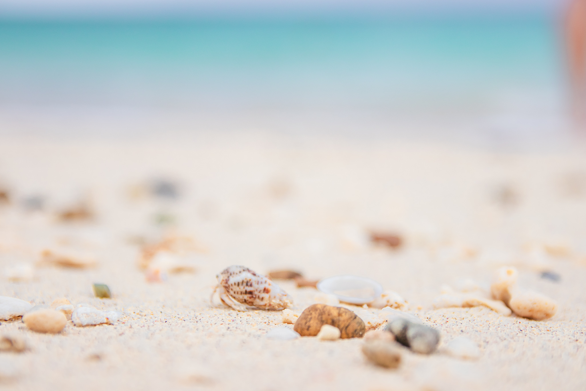 Listen to LU 旅食光