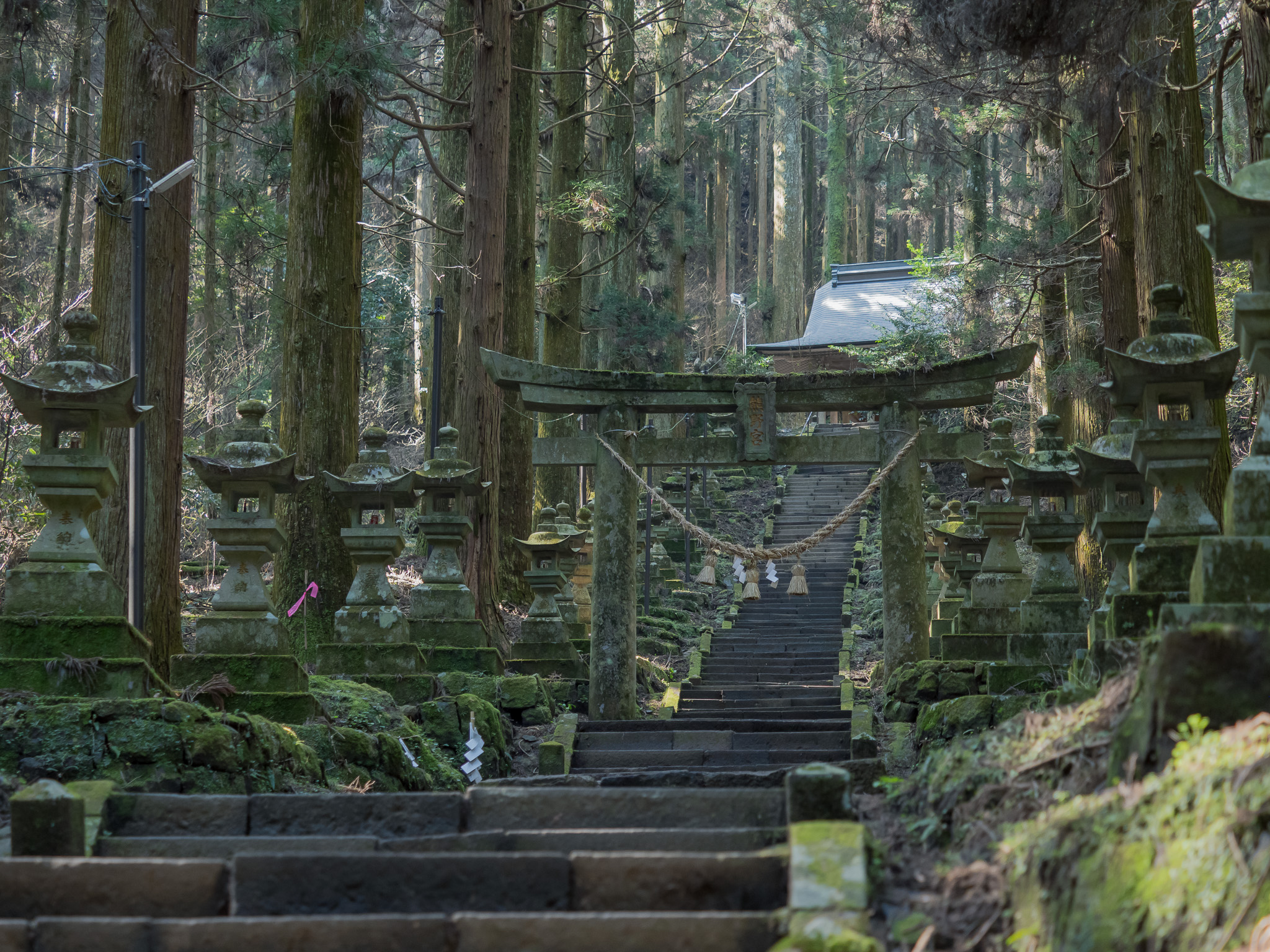 [遊記] 九州熊本｜上色見熊野座神社。綠色能量景點